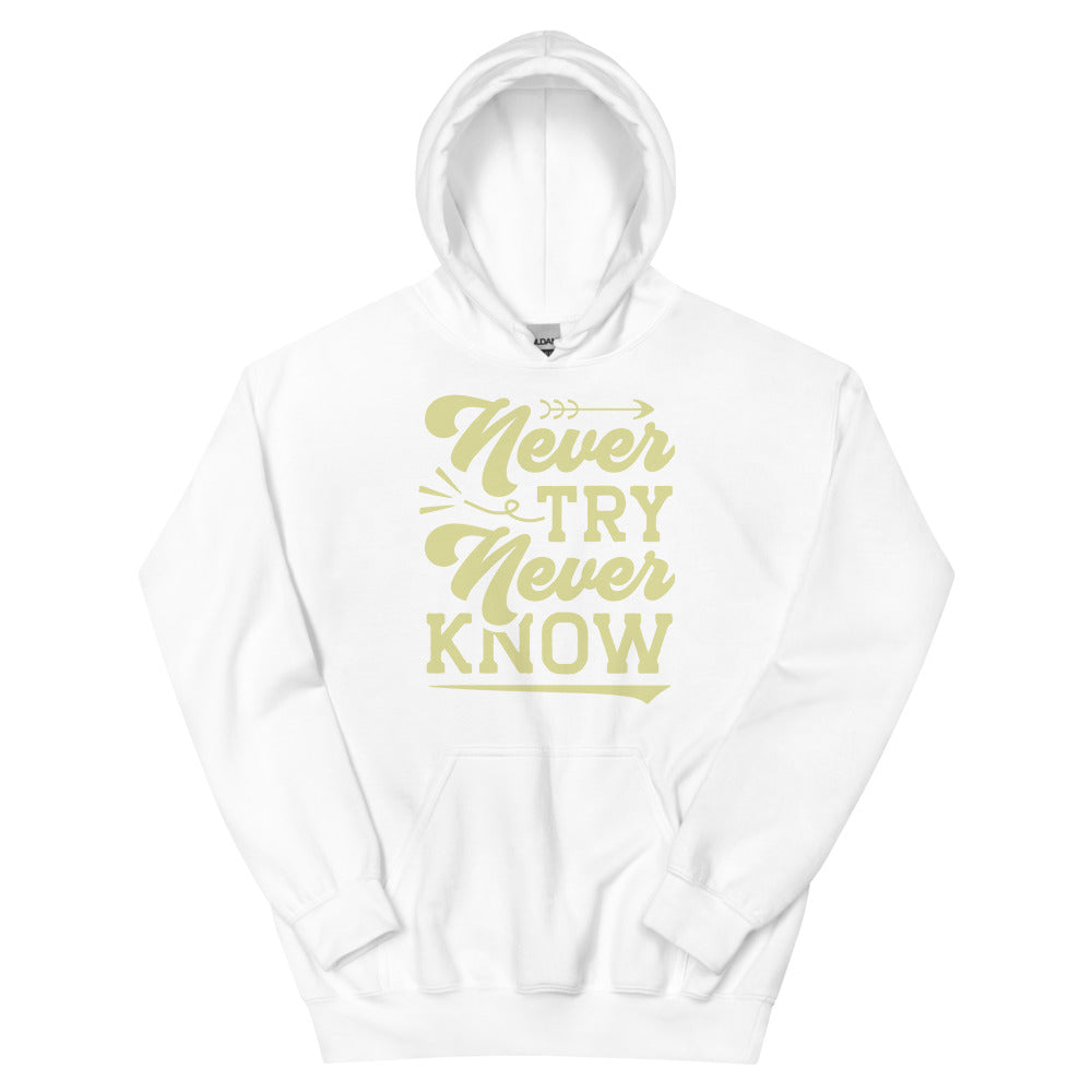 Never Try Never Know Hoodie